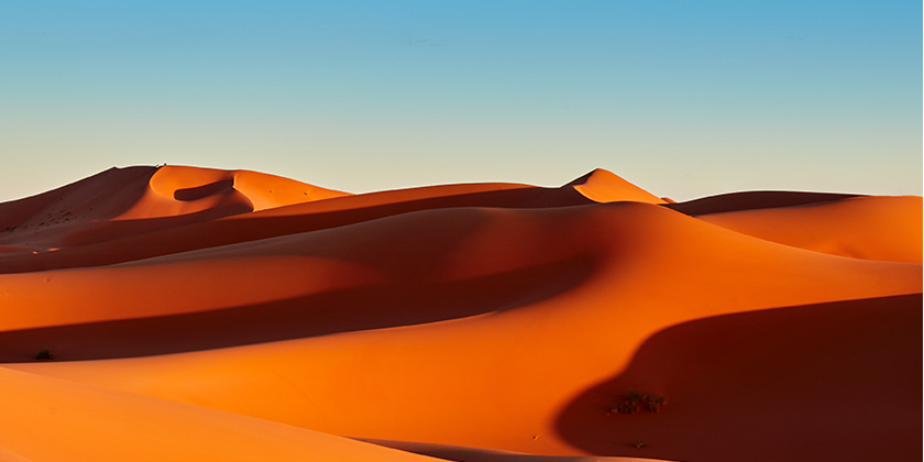 photo-environment-enclosure-desert photo-environment-enclosure-desert