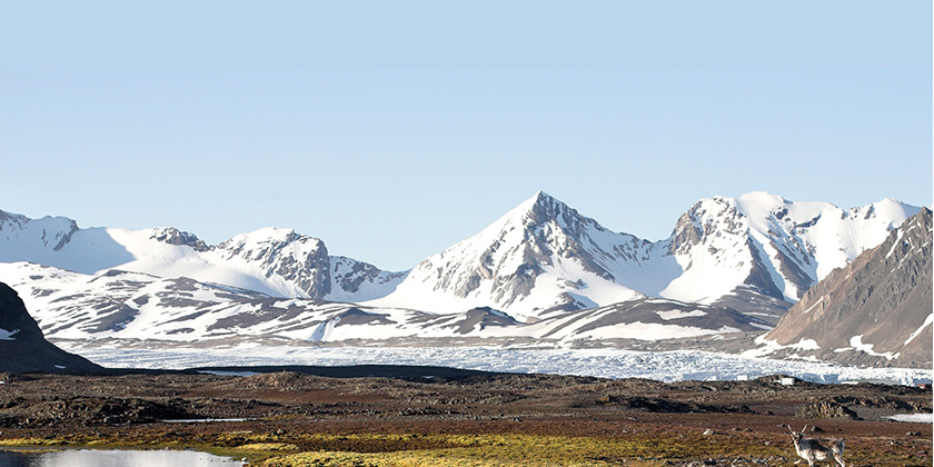 photo-environment-enclosure-tundra photo-environment-enclosure-tundra